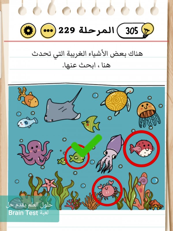 حل Brain Test المرحلة 229