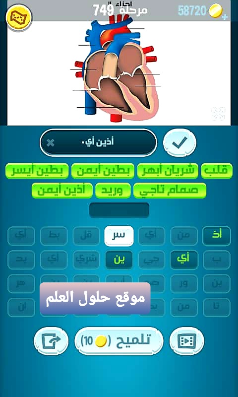 كلمات كراش 749 مقاطع الكلمات التحديث الجديد من زيتونة حل لغز كلمات كراش مرحلة لعبة كراش المرحلة