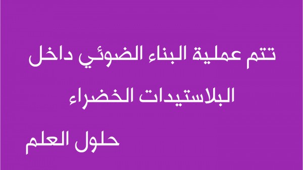 تتم عملية البناء الضوئي داخل البلاستيدات الخضراء صح ام خطا حلول العلم