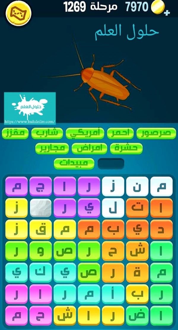 كلمات كراش 1269 كلمات مبعثرة لعبة كراش التحديث الجديد من زيتونة حل لغز كلمات كراش مرحلة لعبة كراش المرحلة ١٢٦٩ التحديث الجديد حلول العلم